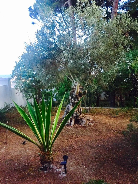 Le Due Pigne (Adults Only) Villa Tarente Buitenkant foto