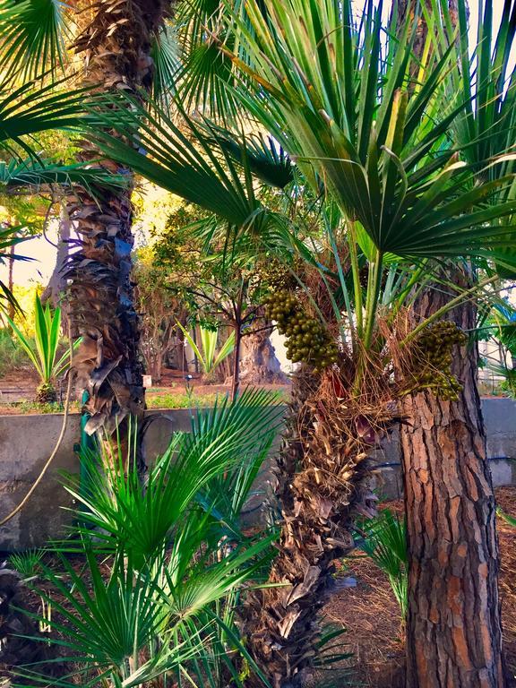 Le Due Pigne (Adults Only) Villa Tarente Buitenkant foto